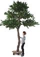 Arbre artificiel forestier Pin Luxe - arbre méditerranéen intérieur - H.400cm