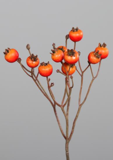 Branche artificielle d'églantier baies oranges - composition florale - H.46cm