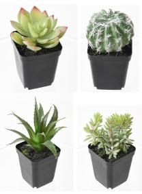 Cactus artificiels assortiment de 4 plantes - plante synthtique d'intrieur - H.20cm