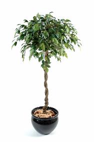 Arbre artificiel Ficus boule Natasja - plante synthtique intrieur - H.140cm