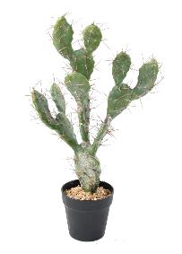 Plante artificielle Cactus Plat - Plante pour intrieur - H. 58cm vert