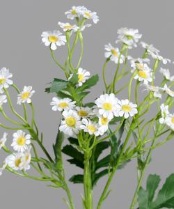 Plante artificielle Marguerite Anthemis - plante fleurie d'intérieur - H.48cm crème