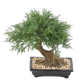 Bonsa Juniperus artificiel en coupe - plante synthtique intrieur - H.30cm