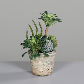 Composition florale artificielle de succulentes en pot - plante d'intrieur - H.25cm
