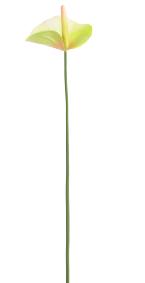 Fleur artificielle Anthurium - dcoration florale - H.60cm vert