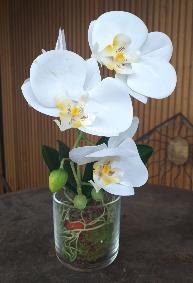 Fleur artificielle Orchide Phalaenopsis dans un pot en verre - plante d'intrieur - H.42cm crme