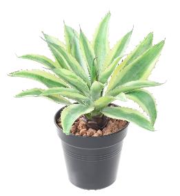 Plante artificielle Aloe en piquet - cactus artificiel intrieur - H.27cm vert jaune