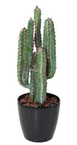 Plante artificielle Cactus 5 branches - Plante synthtique intrieur - H.77cm vert