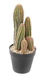 Plante artificielle Cactus Finger 5 troncs - Plante pour intrieur - H.28cm vert