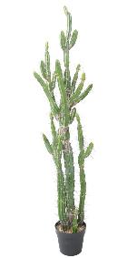 Plante artificielle Cactus Finger F - Plante pour intrieur - H.140cm vert