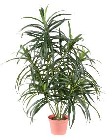 Plante artificielle Dracaena Anita - dcoration d'intrieur - H.75cm vert