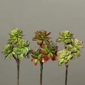 Plantes artificielles 3 succulentes en piquet - cactus d'intrieur - H.21cm