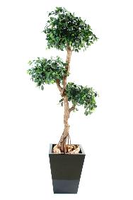 Arbre artificiel Ficus retusa crazy - plante synthtique - H.150cm vert