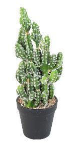 Cactus artificiel en pot - plante synthtique d'intrieur - H. 35 cm vert