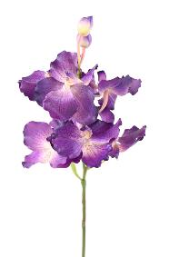 Fleur artificielle Orchide Vanda Fresh Touch - haut de gamme - H.70cm violet