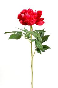 Fleur artificielle Pivoine - cration de bouquet composition - H.70cm rouge