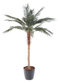 Palmier artificiel Phoenix Palm - plante intrieur - H.210cm vert