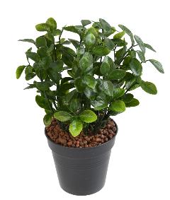 Plante artificielle Berbris en piquet - intrieur extrieur - H.28cm vert