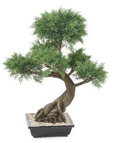 Bonsaï Juniperus artificiel en coupe - plante synthétique intérieur - H.100cm