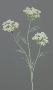Fleur artificielle Aneth 3 têtes - carotte sauvage - H.74cm crème
