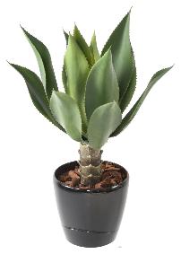 Plante artificielle Agave tige de plantation - cactus pour intrieur - H.60cm