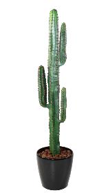 Plante artificielle Cactus 3 branches - Plante synthtique intrieur - H.150cm vert