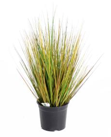Plante artificielle Herbe Onion Grass GF - dcoration d'intrieur - H.50cm vert jaune