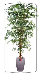 Arbre forestier artificiel Aralia new - plante d'intrieur - H.180cm vert