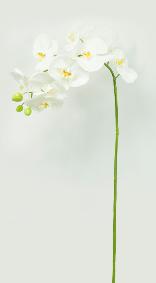 Fleur  la tige Orchide artificielle Phalaenopsis - haute qualit - H.100cm