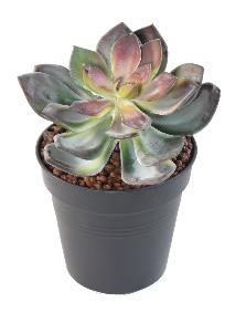 Mini plante artificielle Succulente VR - cactus artificiel intrieur - H.16cm