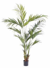 Palmier artificiel kentia Palm - dcoration d'intrieur - H.210cm vert