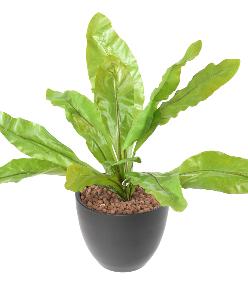 Plante artificielle Asplenium en piquet -plante d'intrieur - H.70cm vert