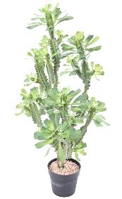 Plante artificielle Euphorbe lacte - Plante pour intrieur - H.110cm vert