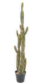 Plante artificielle Cactus Finger 6 troncs - Plante pour intrieur - H.150cm vert