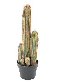 Plante artificielle Cactus Finger 7 troncs - Plante pour intrieur - H.60cm vert