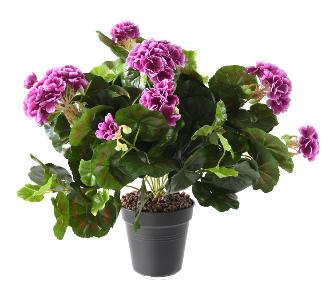 Plante fleurie artificielle - Granium en piquet - H.35cm violet