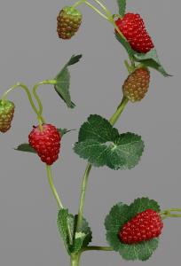 Framboise artificielle branche de 9 fruits – composition florale - H.44cm rouge