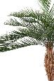 Palmier artificiel Phoenix PLAST - arbre pour extérieur - H.290cm vert