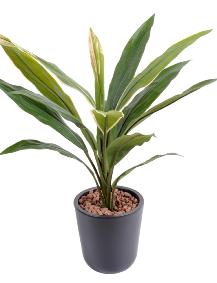 Plante artificielle Dracaena Cordyline en piquet - intrieur - H.60 cm vert jaune