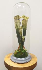 Plante artificielle carnivore sous cloche en verre - dco intrieur - H.46cm vert