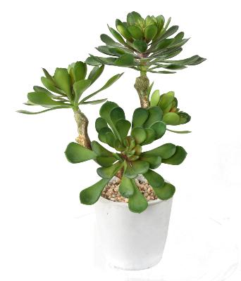 Plante artificielle succulente en pot - plante synthétique d'intérieur - H.30cm