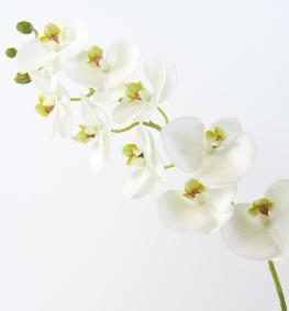 Fleur  la tige Orchide artificielle Phalaenopsis - haute qualit - H.77 cm