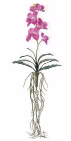 Fleur artificielle Orchide Vanda feuillage et racines H.58cm fuchsia