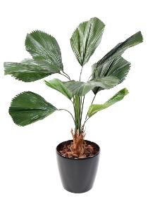Palmier artificiel Licuala grandis - plante artificielle d'intrieur - H.120cm vert