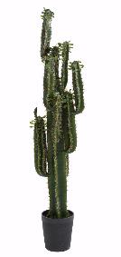Plante artificielle Cactus Finger avec feuilles - Plante pour intrieur - H.150cm vert
