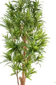 Plante artificielle Dracaena Reflexa - décoration d'intérieur - H.110cm vert