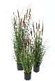 Plante artificielle Graminée Roseau Cattail en pot - décoration d'intérieur - H.120cm
