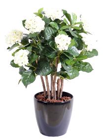 Plante artificielle Hortensia buisson - fleurs pour intrieur - H.80cm blanc