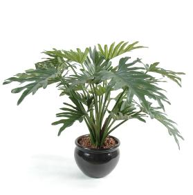 Plante artificielle Philodendron Selloum - plante d'intrieur - H.50cm vert