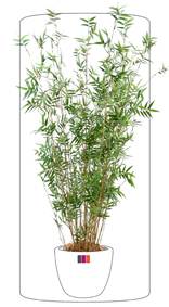 Bambou artificiel Oriental 11 cannes fines - plante d'intrieur - H.130cm